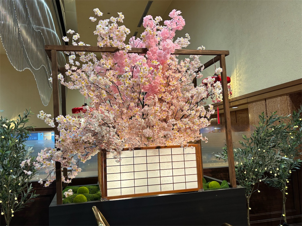 f:id:asakusa5809:20260219082613j:image