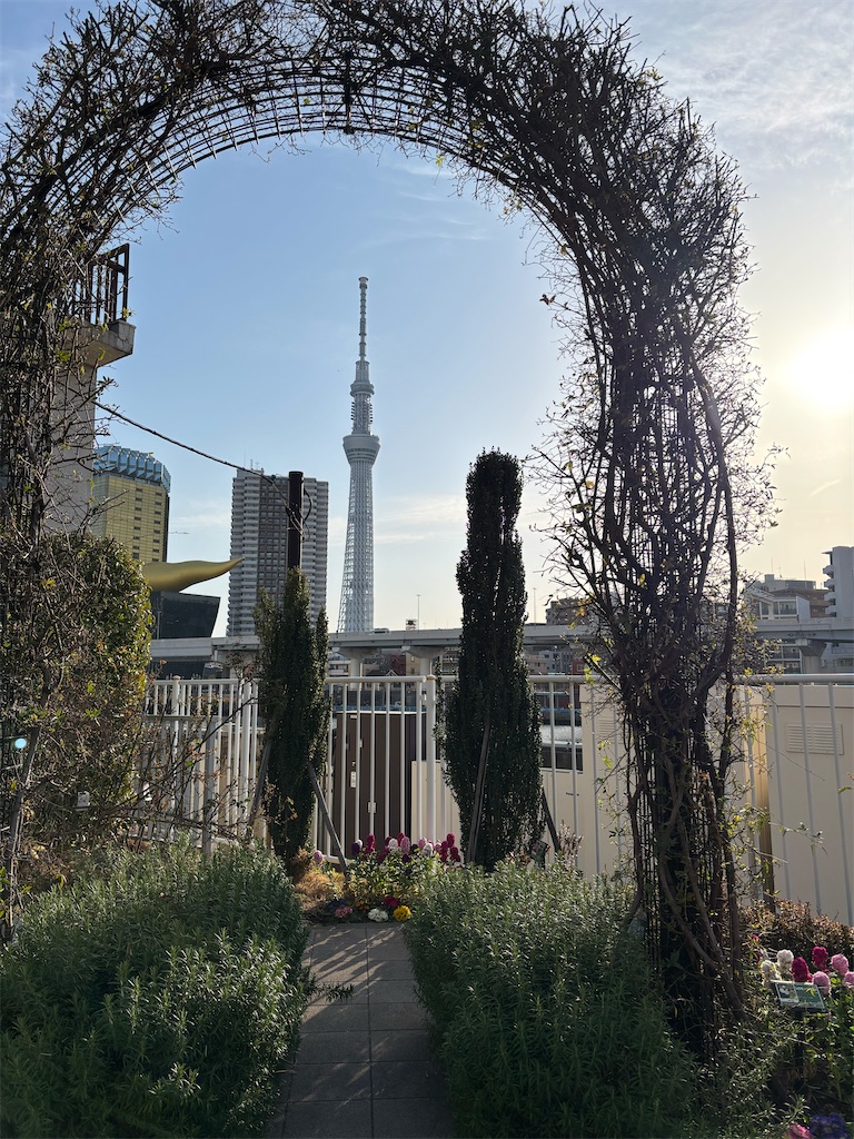 f:id:asakusa5809:20260302075113j:image f:id:asakusa5809:20260302075113j:image