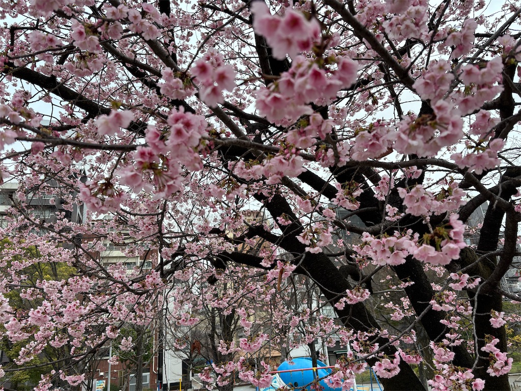 f:id:asakusa5809:20260302075348j:image