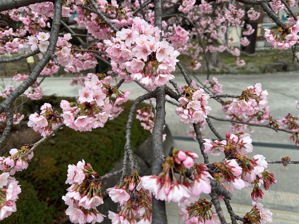 f:id:asakusa5809:20260302075439j:image
