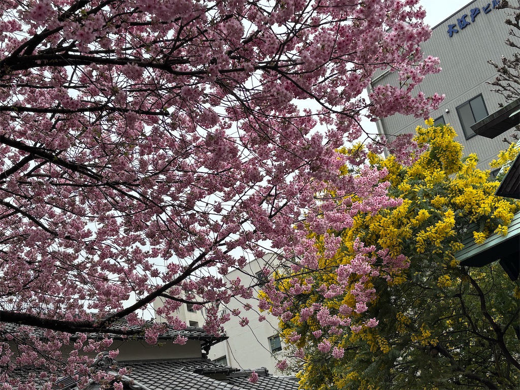 f:id:asakusa5809:20260302075543j:image