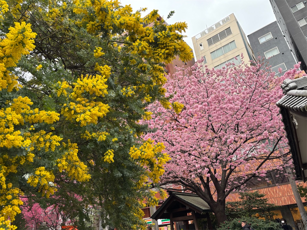 f:id:asakusa5809:20260302075624j:image