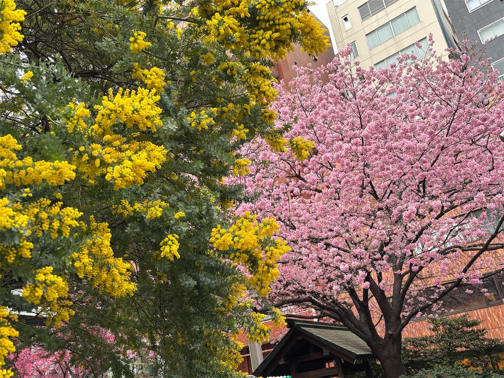 f:id:asakusa5809:20260302075630j:image