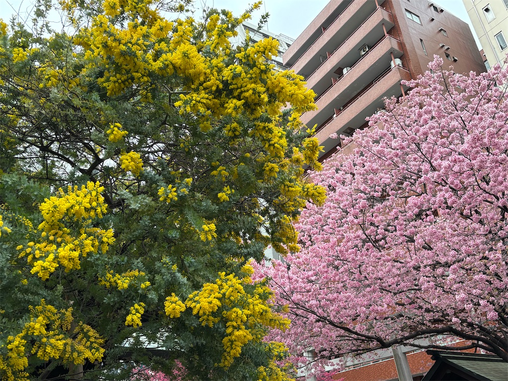 f:id:asakusa5809:20260302075637j:image