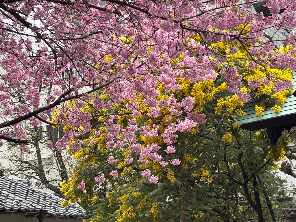 f:id:asakusa5809:20260302075700j:image