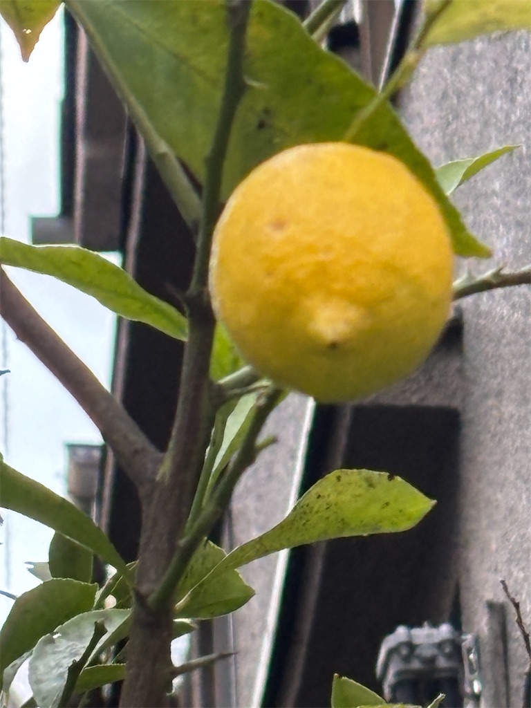 f:id:asakusa5809:20260307202848j:image