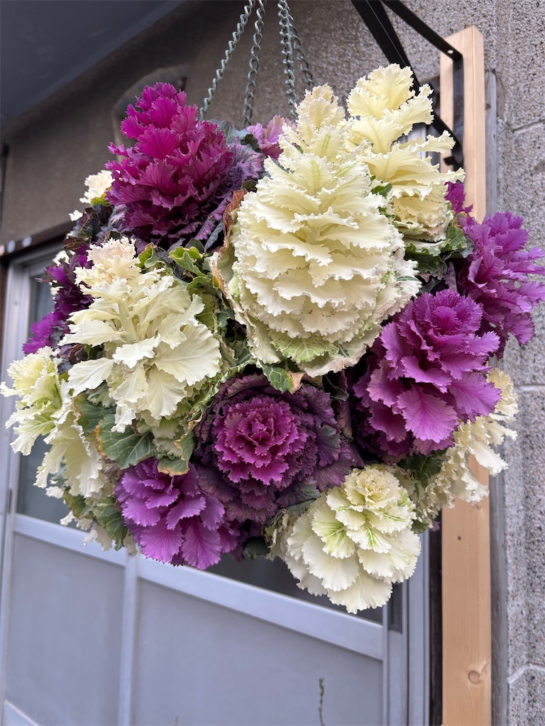 f:id:asakusa5809:20260307202851j:image