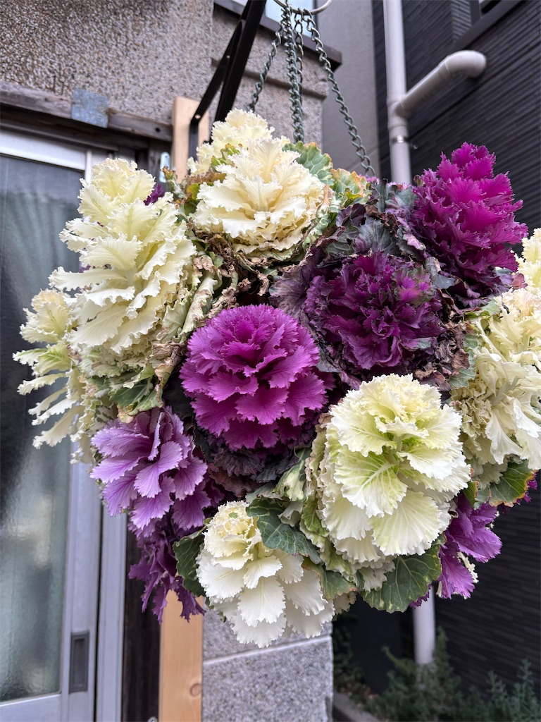 f:id:asakusa5809:20260307202855j:image