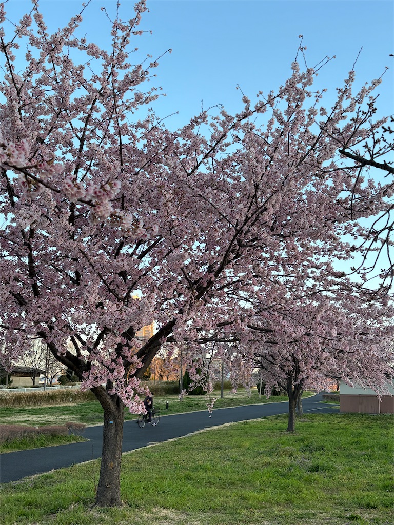 f:id:asakusa5809:20260308160917j:image
