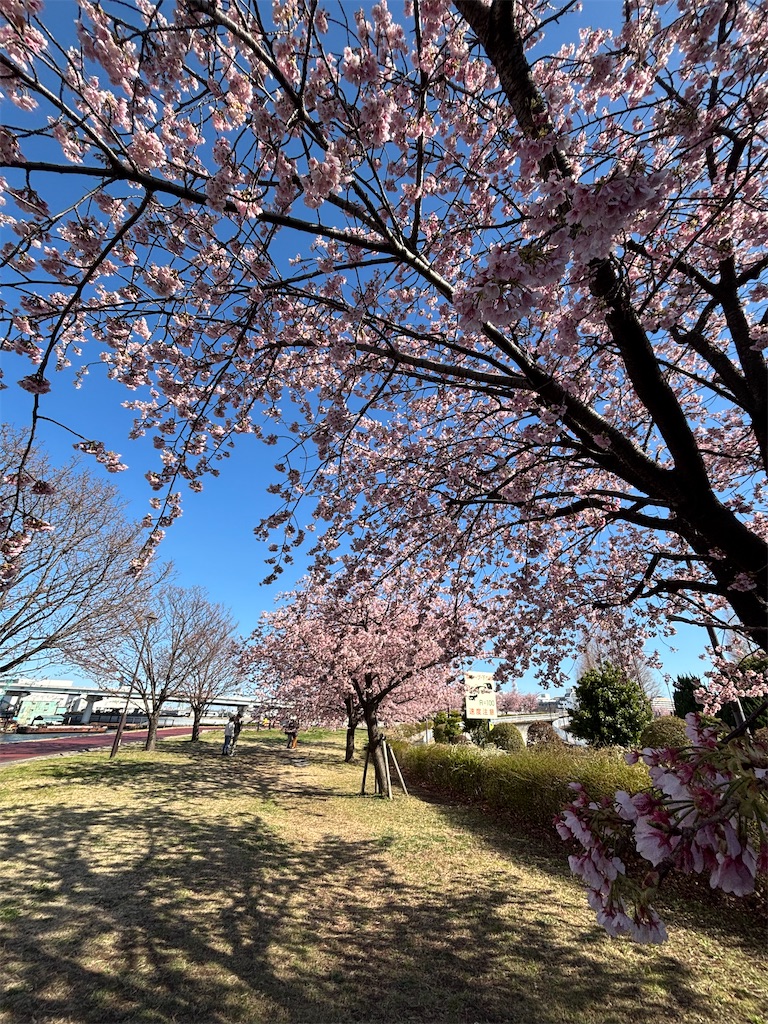 f:id:asakusa5809:20260308160942j:image