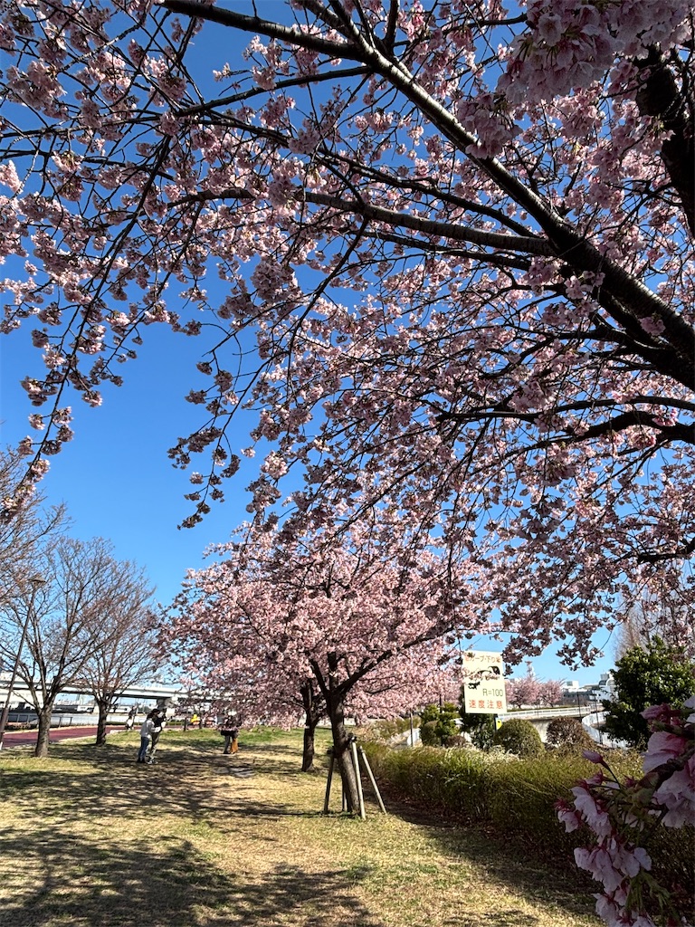 f:id:asakusa5809:20260308160946j:image