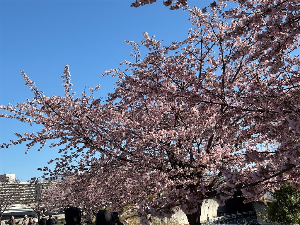 f:id:asakusa5809:20260308160957j:image
