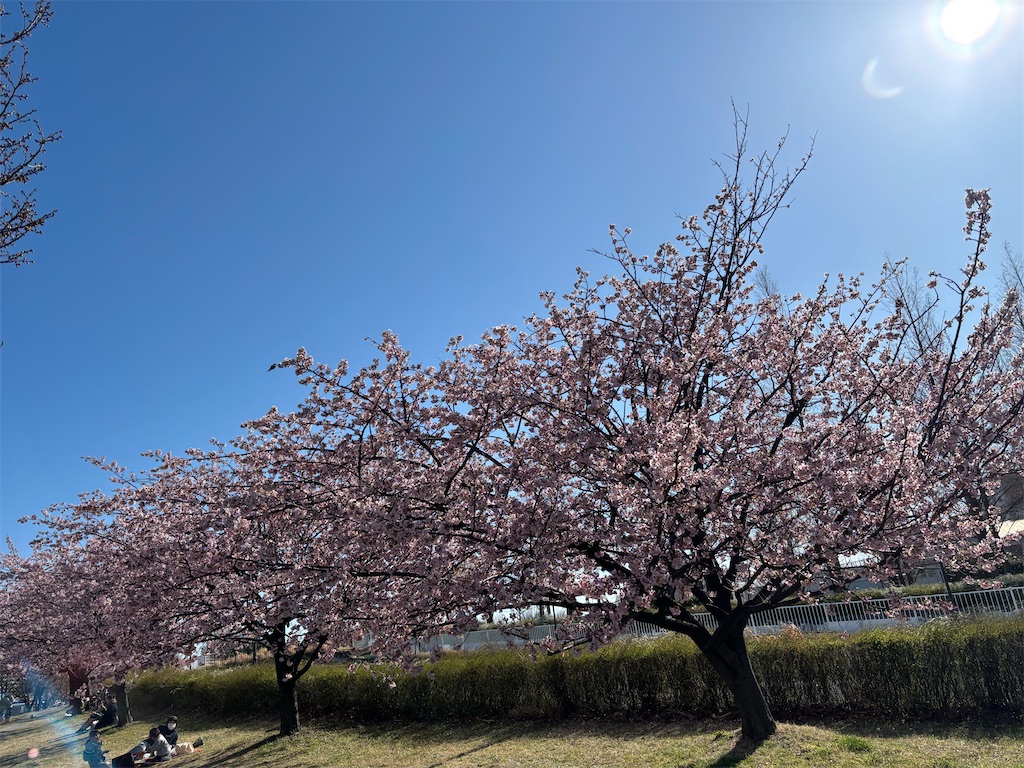 f:id:asakusa5809:20260308161004j:image