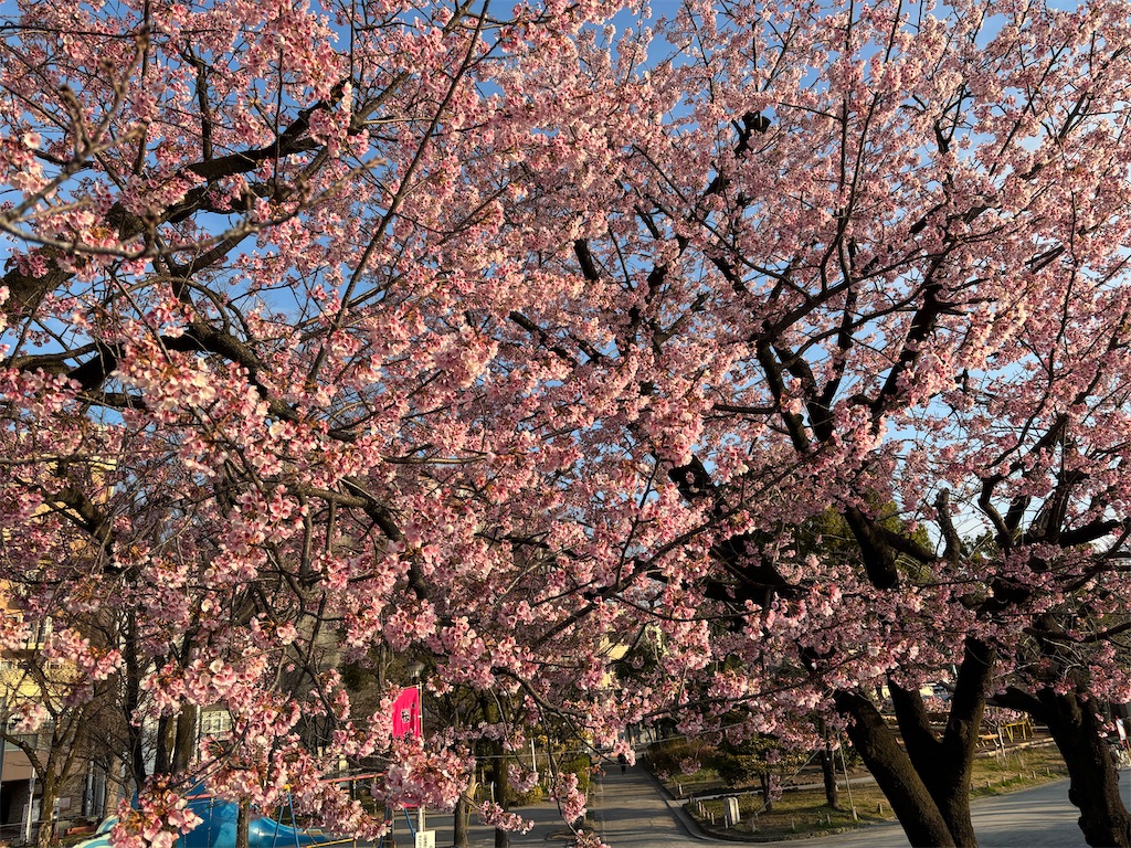 f:id:asakusa5809:20260312161640j:image f:id:asakusa5809:20260312161640j:image