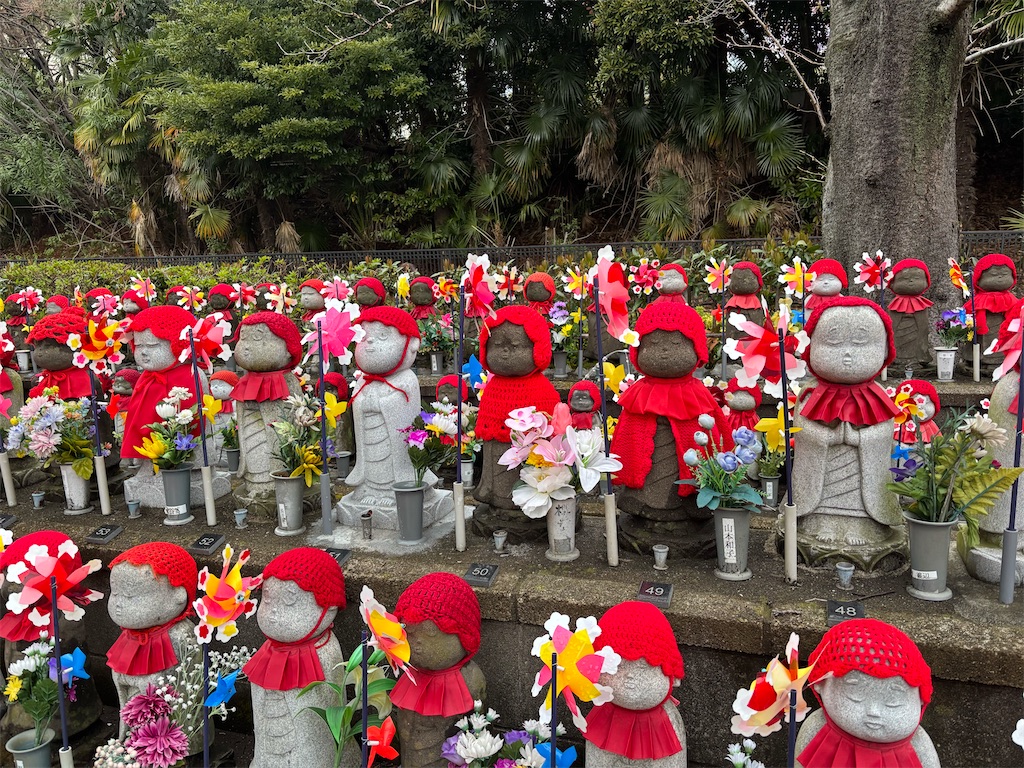 f:id:asakusa5809:20260320205411j:image f:id:asakusa5809:20260320205411j:image