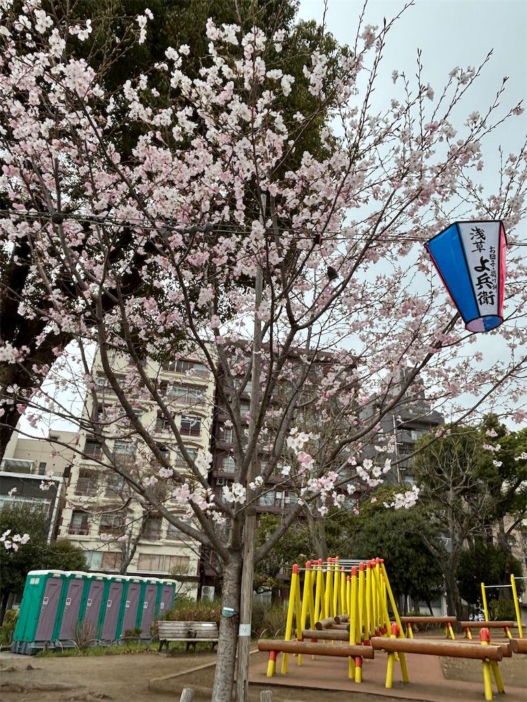 f:id:asakusa5809:20260325080916j:image f:id:asakusa5809:20260325080916j:image