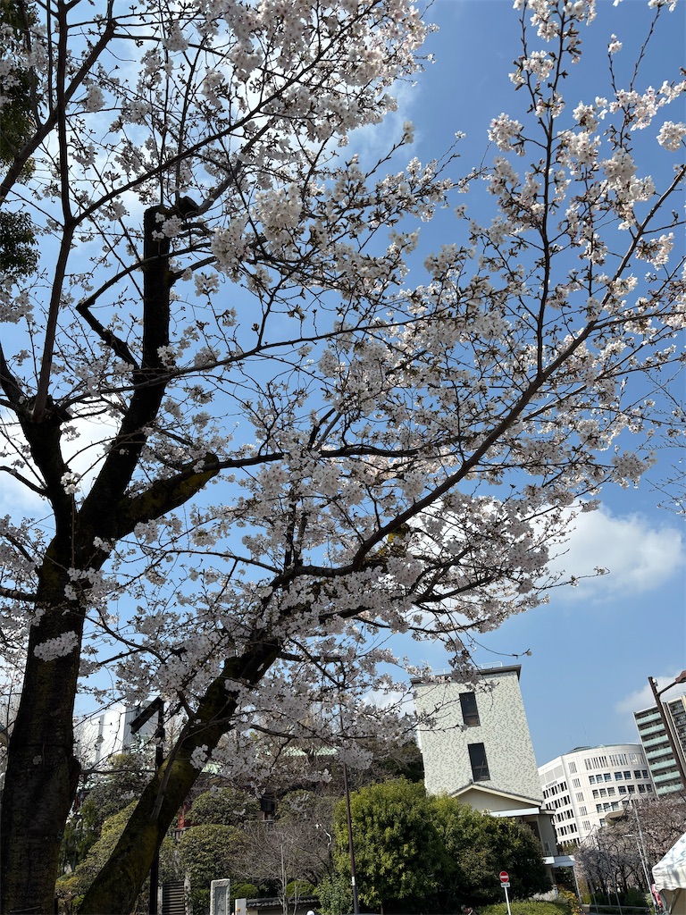 f:id:asakusa5809:20260328141812j:image