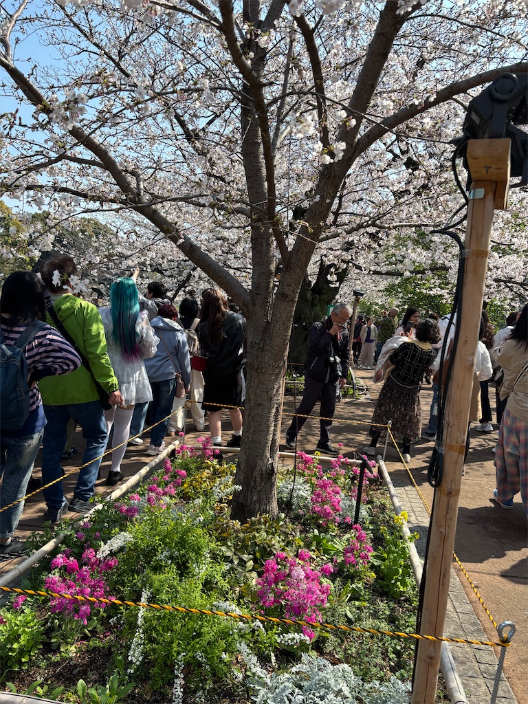 f:id:asakusa5809:20260328171355j:image