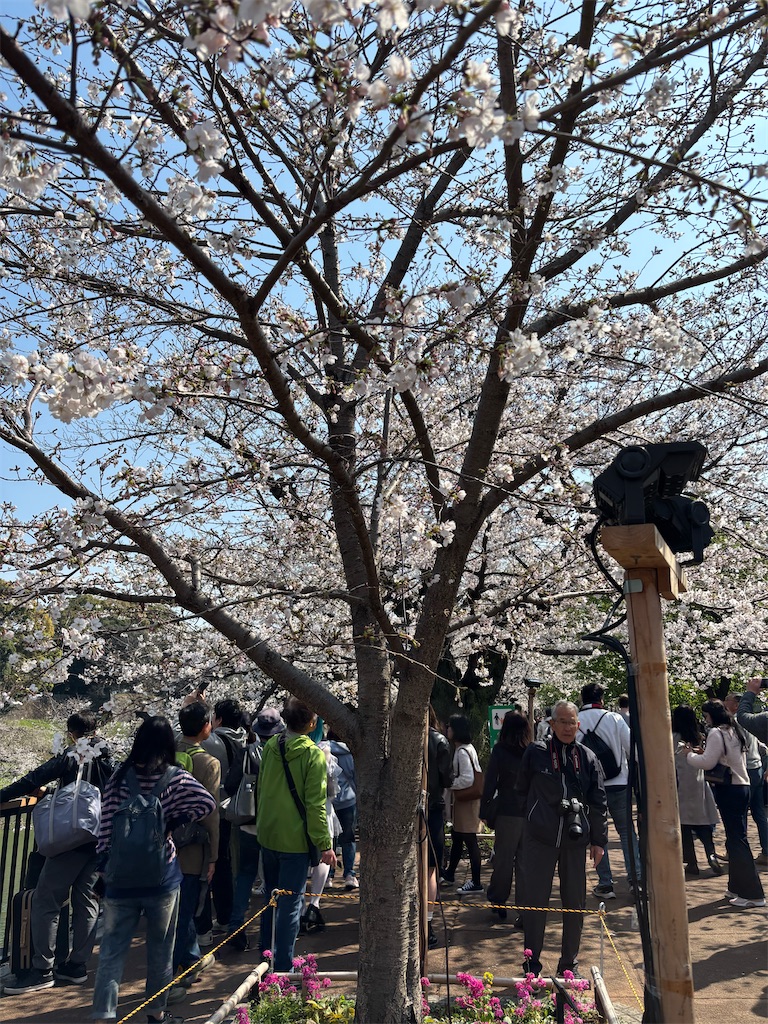 f:id:asakusa5809:20260328171420j:image