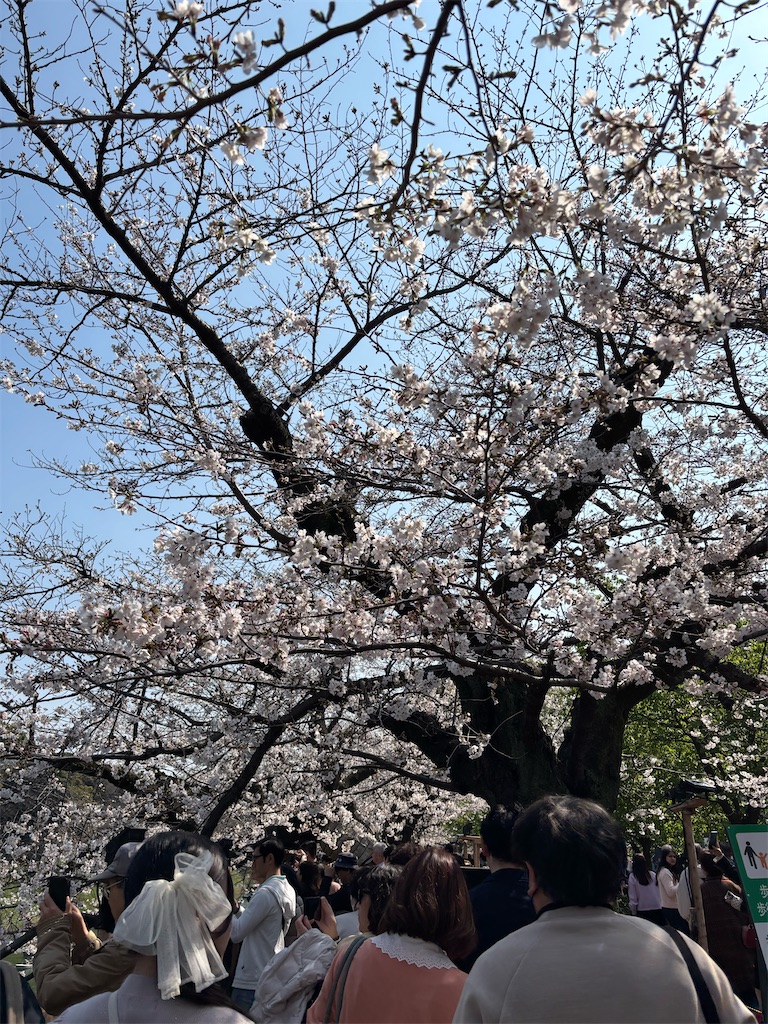 f:id:asakusa5809:20260328171426j:image