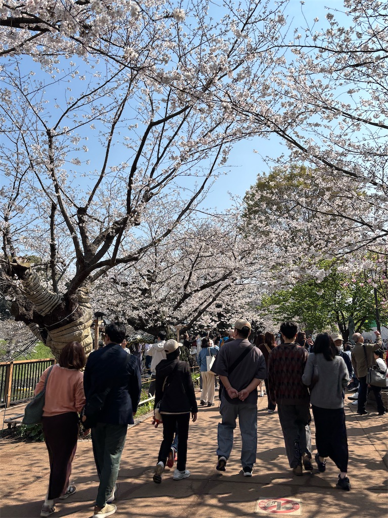 f:id:asakusa5809:20260328171508j:image