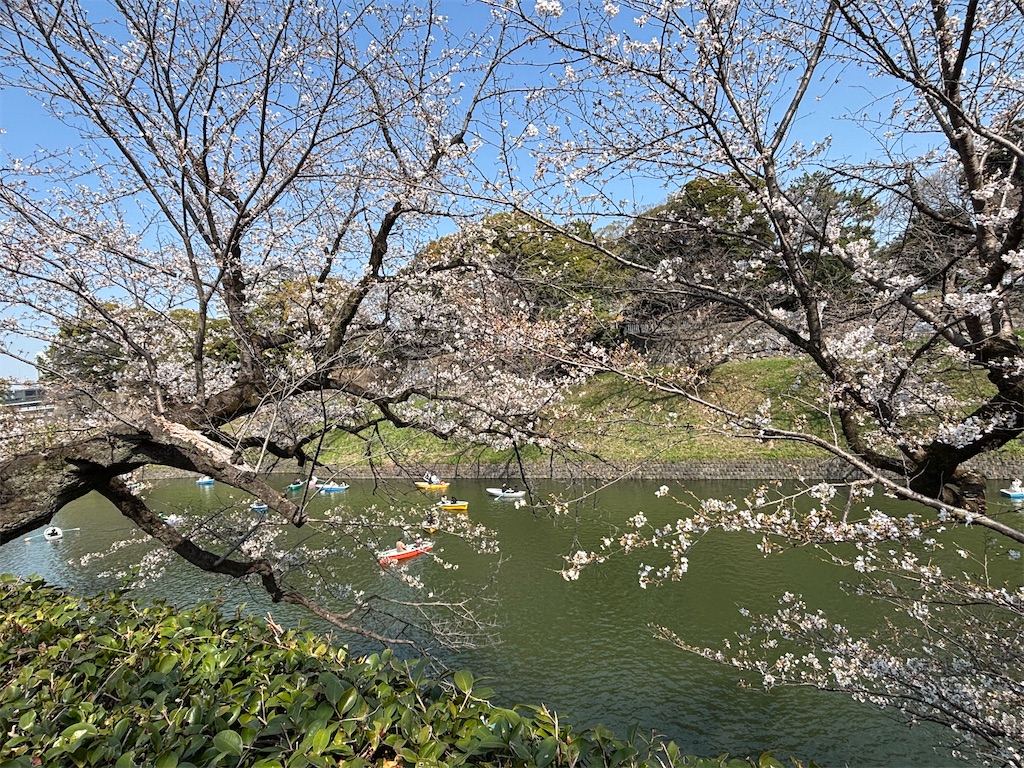 f:id:asakusa5809:20260328171601j:image