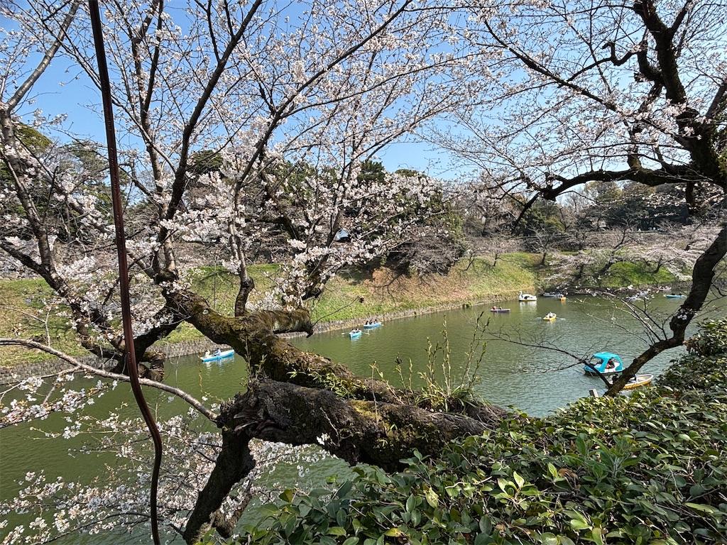 f:id:asakusa5809:20260328171606j:image
