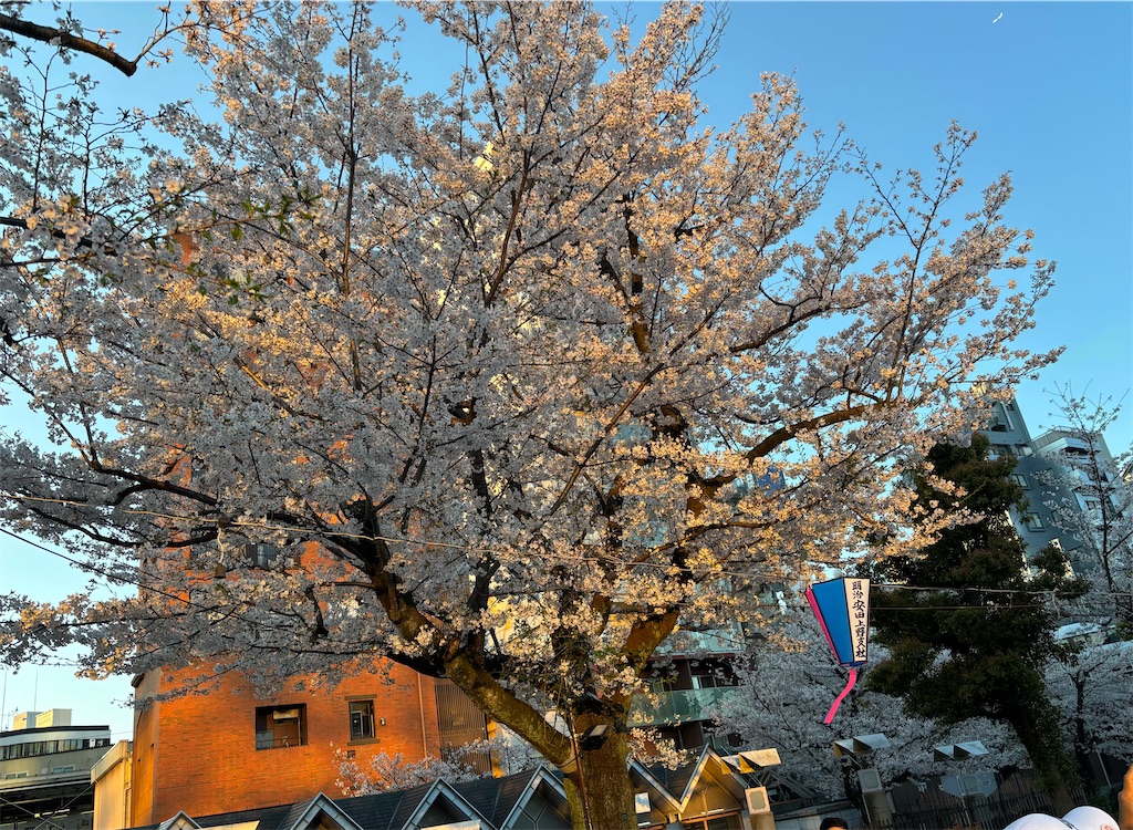 f:id:asakusa5809:20260402212502j:image