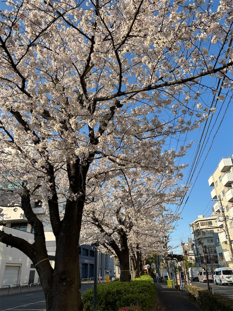 f:id:asakusa5809:20260403080629j:image