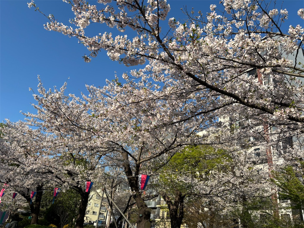 f:id:asakusa5809:20260403080634j:image