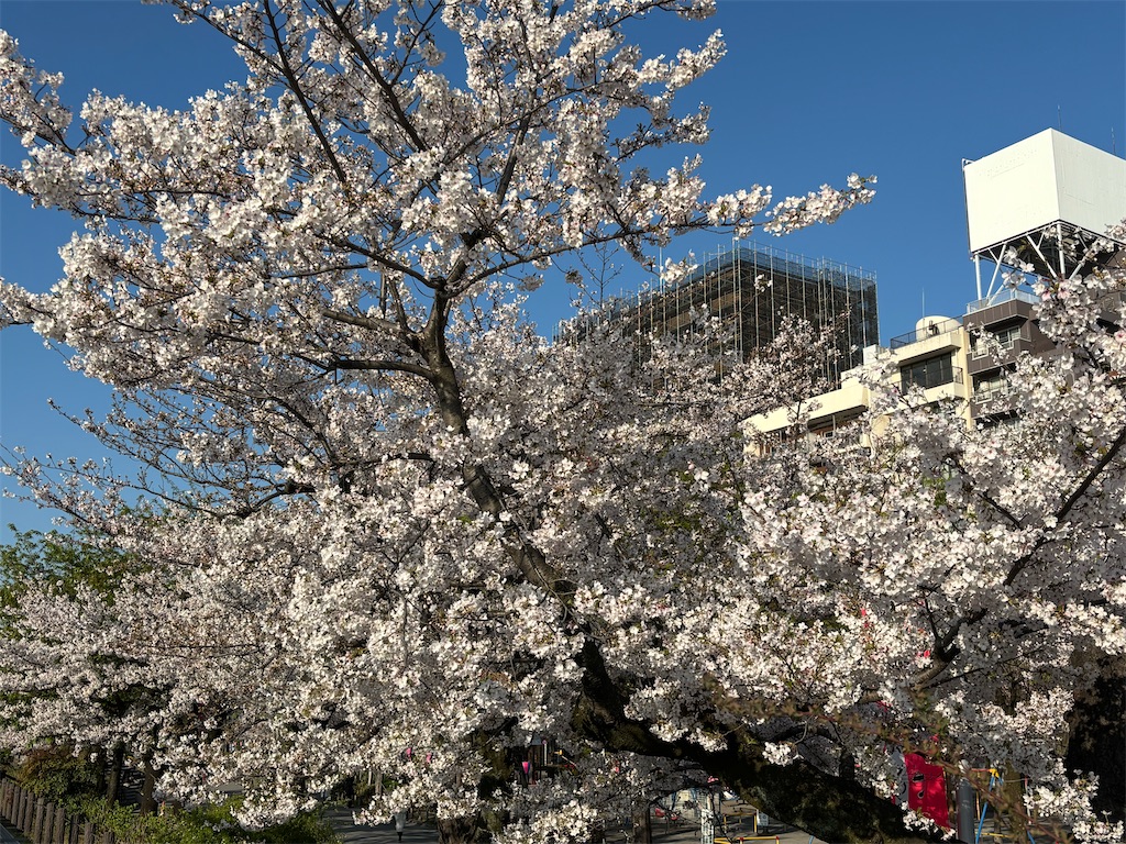 f:id:asakusa5809:20260403080638j:image
