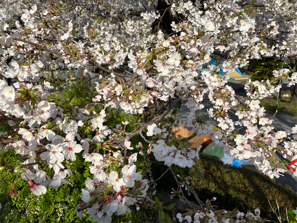f:id:asakusa5809:20260403080644j:image