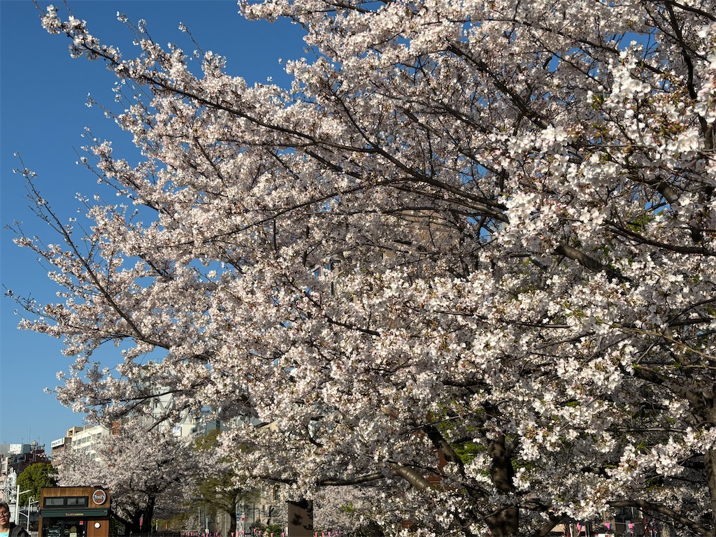 f:id:asakusa5809:20260403080648j:image