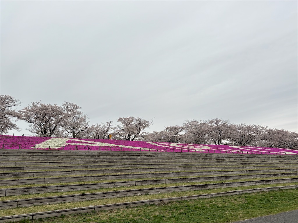 f:id:asakusa5809:20260405071847j:image f:id:asakusa5809:20260405071847j:image