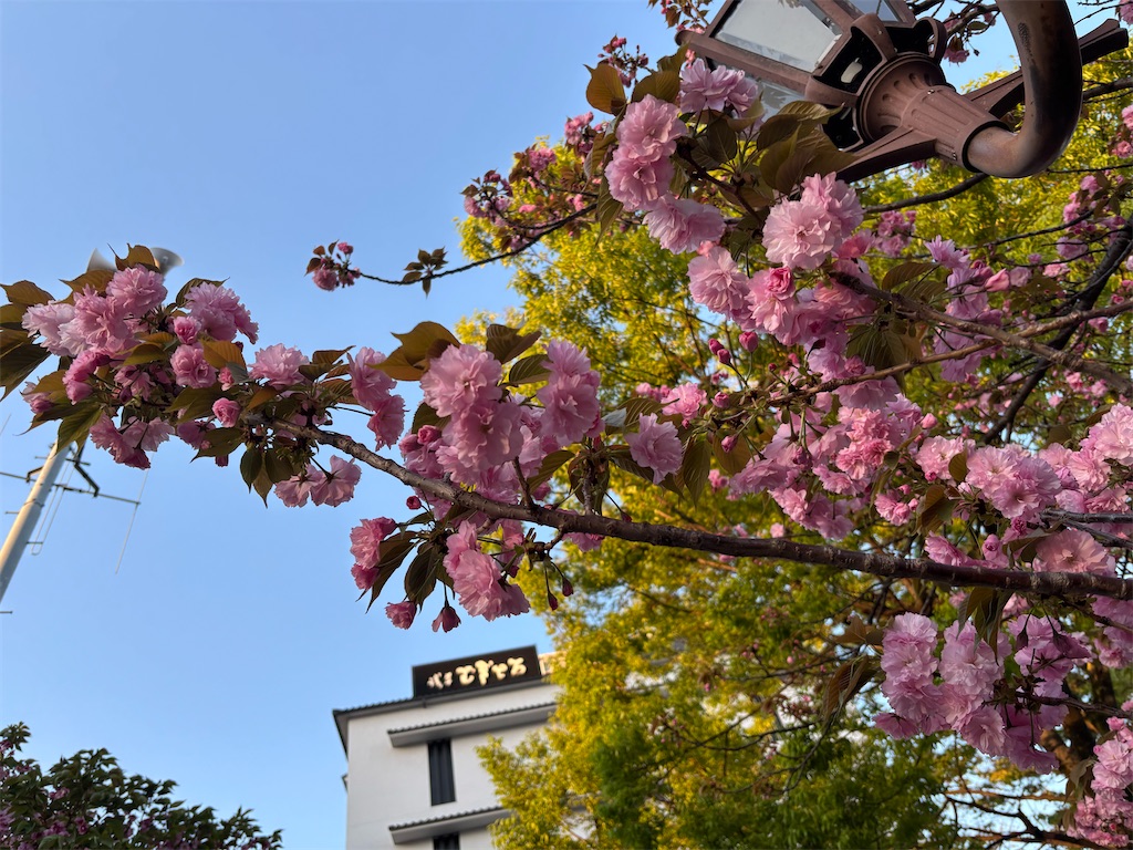f:id:asakusa5809:20260409055143j:image