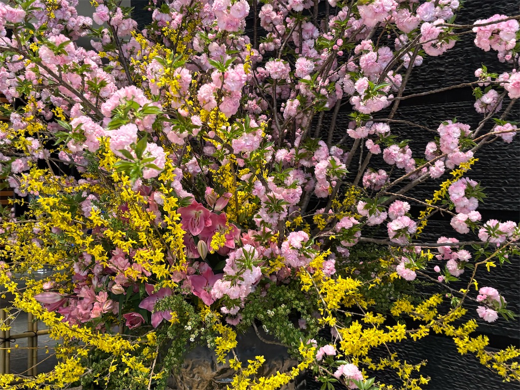 f:id:asakusa5809:20260411210317j:image