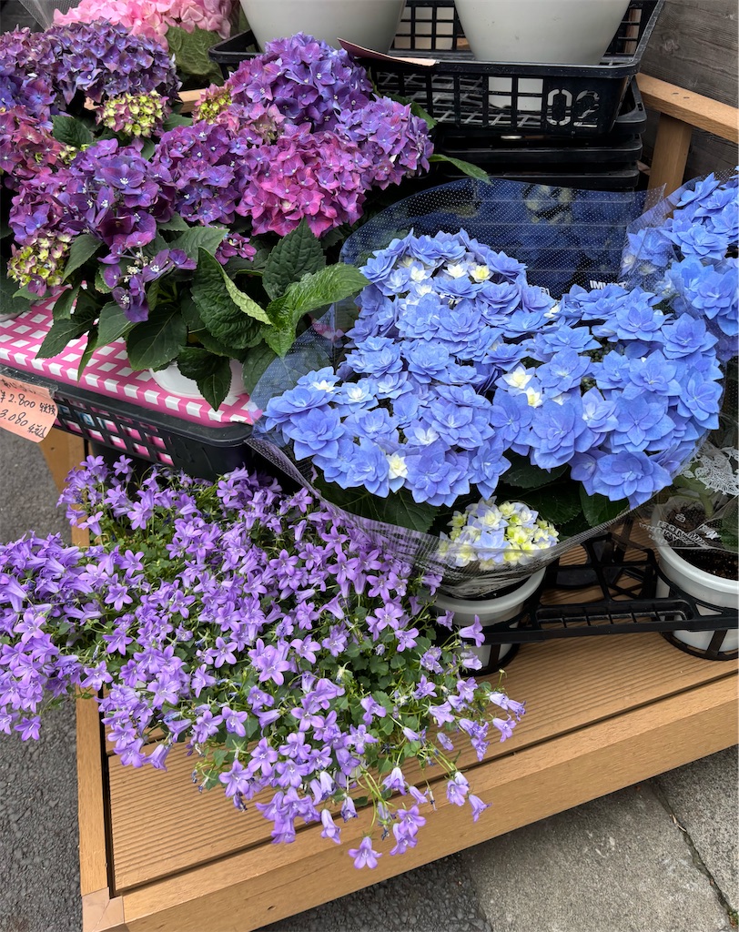 f:id:asakusa5809:20260429162401j:image f:id:asakusa5809:20260429162401j:image
