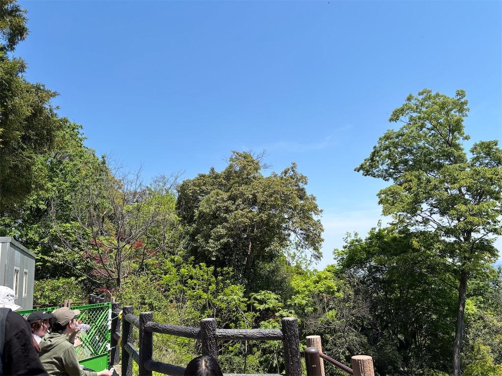f:id:asakusa5809:20260502201215j:image