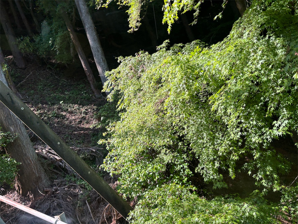 f:id:asakusa5809:20260503181606j:image
