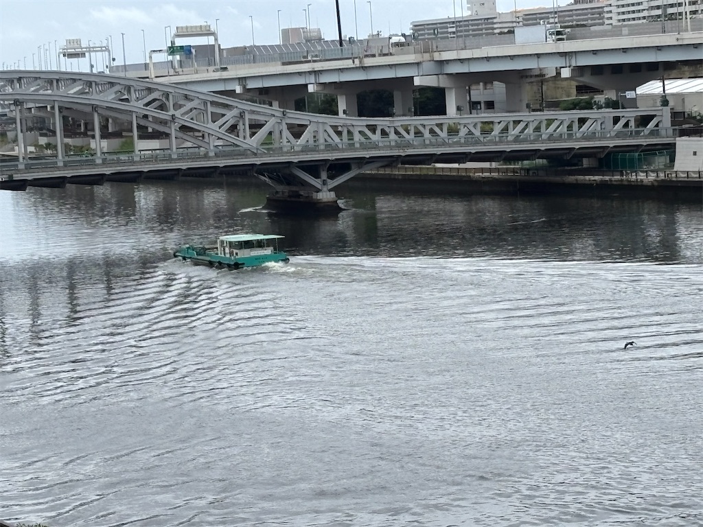 f:id:asakusa5809:20260812160117j:image