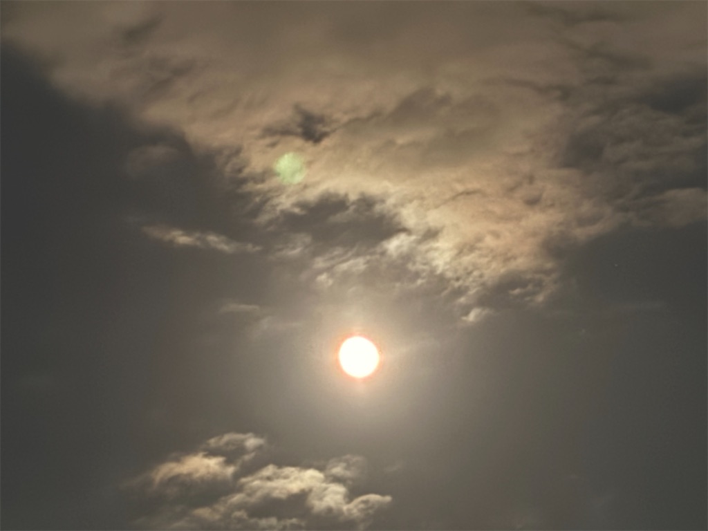 f:id:asakusa5809:20260925232329j:image