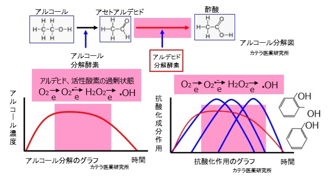 f:id:asakusasupple:20190320185814j:plain f:id:asakusasupple:20190320185814j:plain