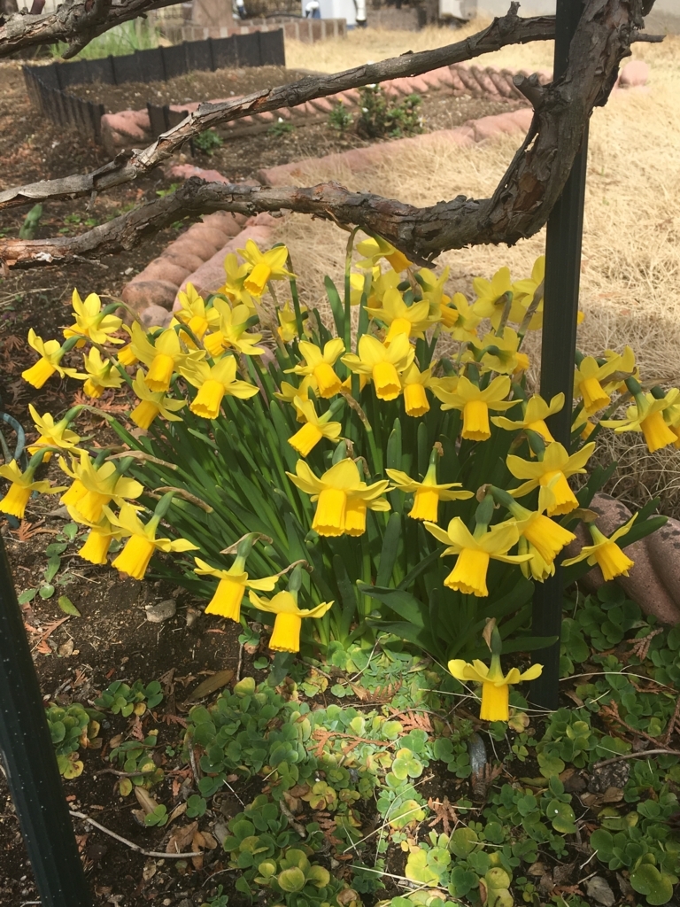 f:id:asamaberry:20180318110208j:plain f:id:asamaberry:20180318110208j:plain