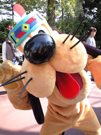 f:id:asami-1120:20080316134848j:image f:id:asami-1120:20080316134848j:image