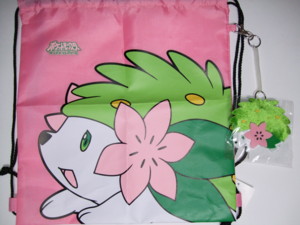 f:id:asami-1120:20090129195323j:image