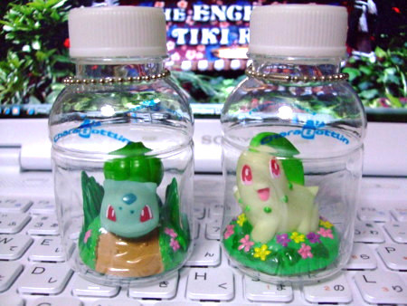 f:id:asami-1120:20090530223717j:image:w338