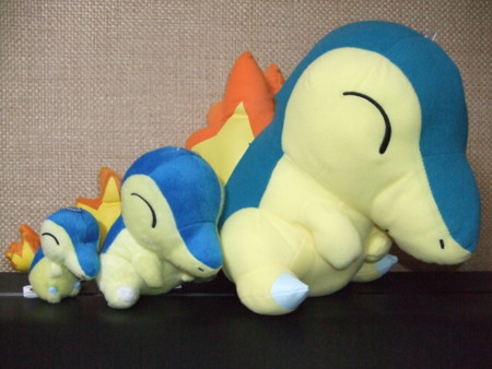 f:id:asami-1120:20091117000943j:image:w338