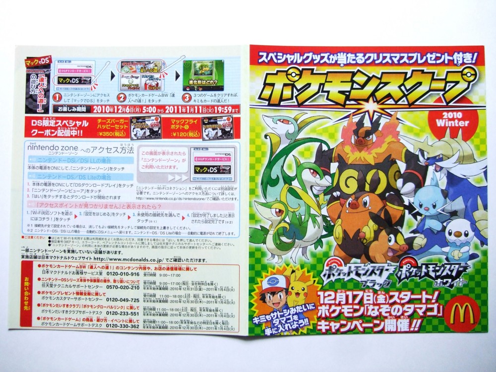 f:id:asami-1120:20110104001301j:image:w300