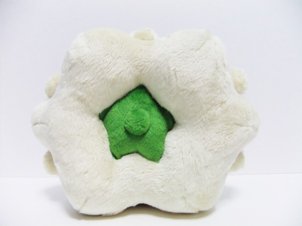 f:id:asami-1120:20110819213105j:image:w300