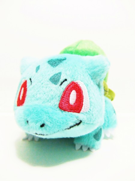 f:id:asami-1120:20130126174910j:image:h200
